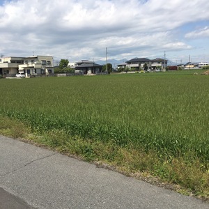 雨で配れんやん